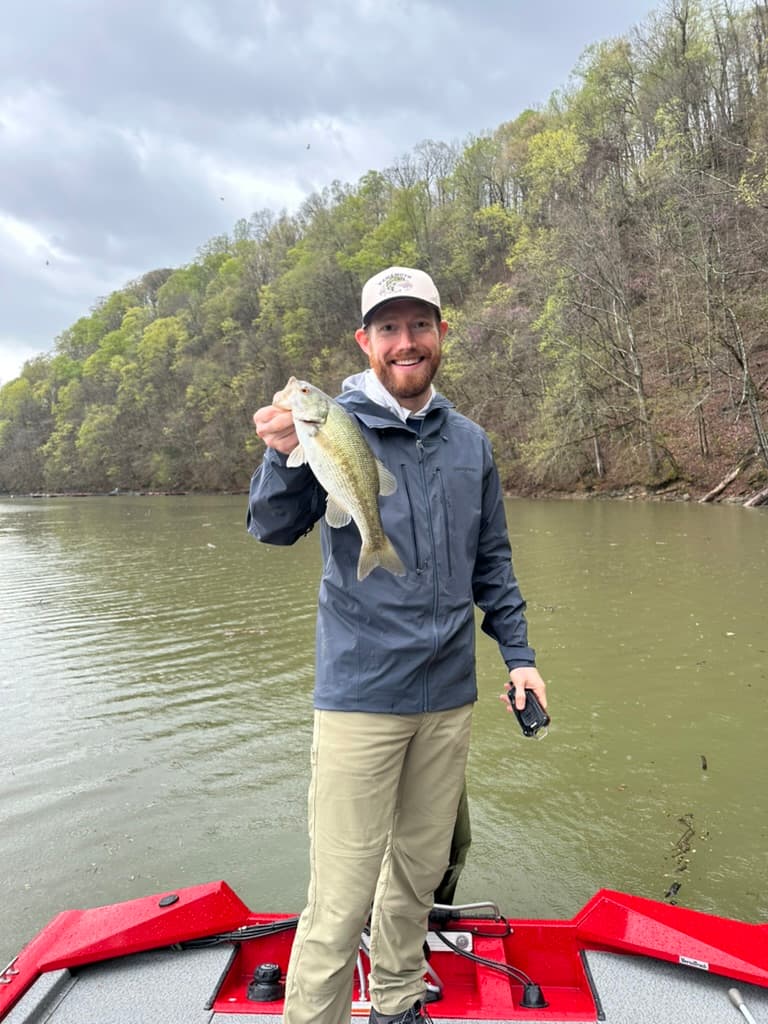 Spotted bass caught on Lake Cumberland