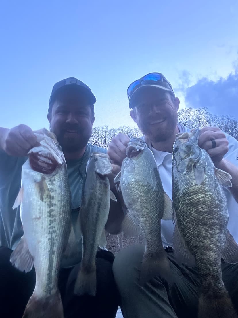 Spring spawn success with a nice bag of bass